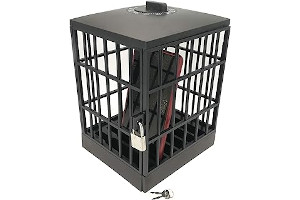 713pWaxy2TL._AC_UL320_